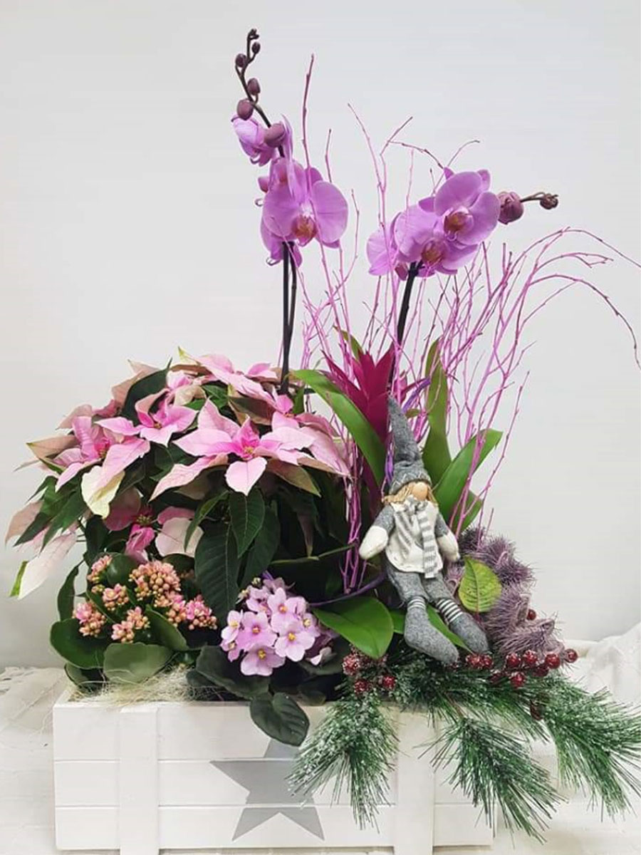composición de orquidea 01